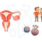 تبخال تناسلی چیست و چگونه منتقل می شود؟